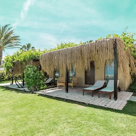 Flamm גולטורקבוקו