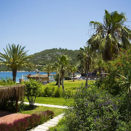 Flamm Hotell Golturkbuku