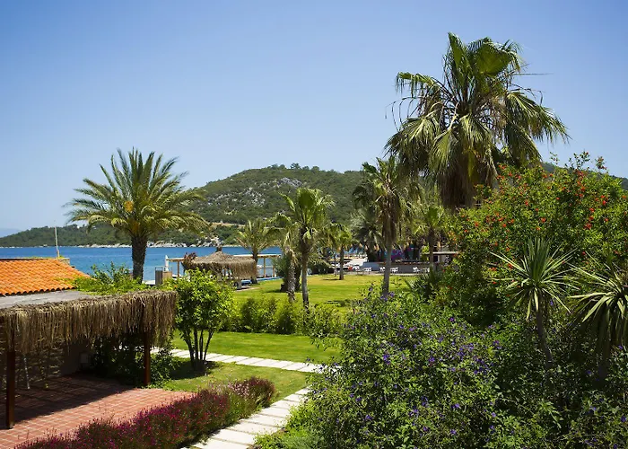 Flamm Hotell Golturkbuku