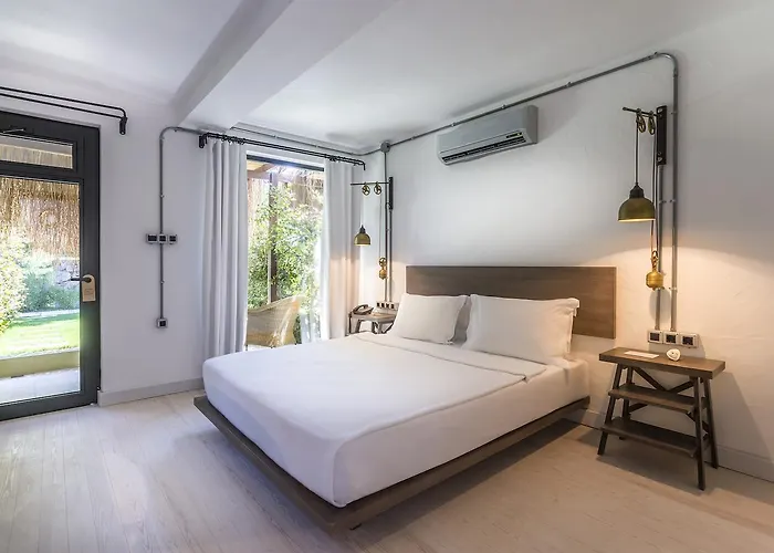 Flamm 3* غولتوركبوكو